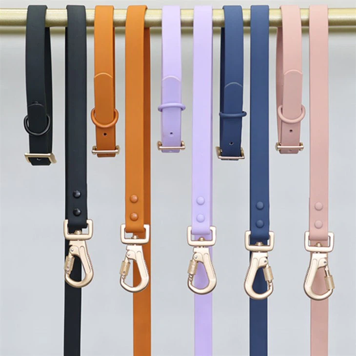 dog collar leash